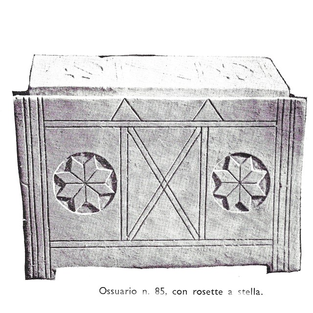 גלוסקמא-85-דומינוס-פלביט-1-1