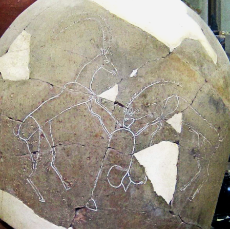 לכיש-קנקנן-איילות-2