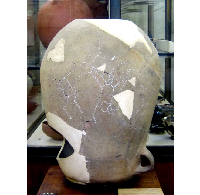 לכיש-קנקנן-איילות