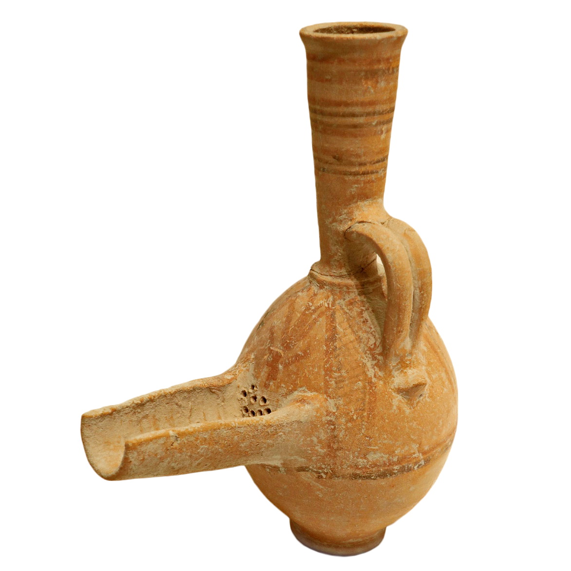 פכים_צפוניים_IRB