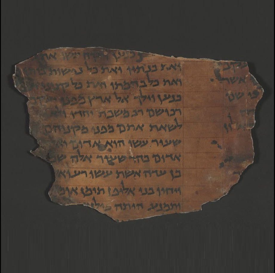 פפירוס-בראשית-נחל-דוד-ליד-עין-גדי